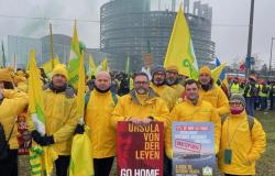 Mercosur: "La decisione del rinvio &egrave; uno stop alla deriva autocratica"