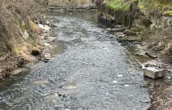 "Questo &egrave; il Cervetto... a chi spetta la pulizia delle rogge cittadine?"