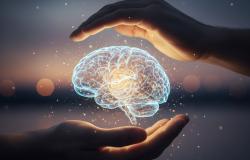 Prolungato a tutto il 2026 il servizio di sostegno psicologico e sociale