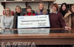 Vercelli:  con gli ombrelli colorati raccolti 3.870 euro per Angsa