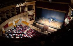 "Pi&ugrave; bocche, meno campi: a Vercelli una lezione senza scorciatoie"