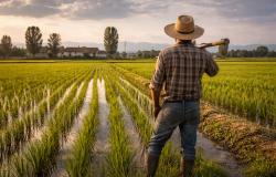 Fiera in campo, l'orgoglio di essere vercellesi