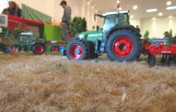 Modellismo agricolo, passione che cresce: numeri da record alla Fiera in Campo 2026 - FOTO