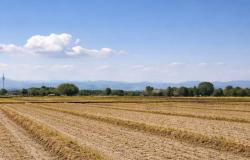 Condizioni metereologiche variabili tutta la settimana