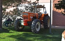 Fiera in Campo 2026: le foto dei mezzi storici