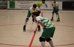 Amatori Vercelli - Seregno: 13 - 2 ( Fotogallery)