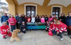 'Aspettando la festa della donna'