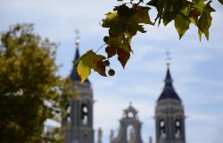 Le cattedrali del Medioevo raccontate dallo storico Marco Meschini