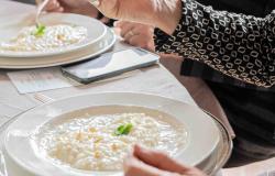 Il chicco che racconta il territorio