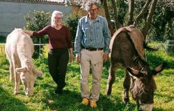 Sugli asini, dalla Svizzera a Roma passando da Vercelli