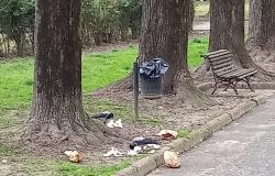 Piazza Mazzini: "... e pensare che c'&egrave; il cestino vuoto a un metro"