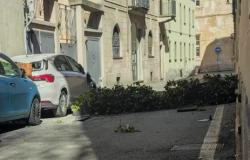 Fioriere sopra un'auto a Vercelli per il vento