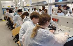 I ragazzi dell'Iti &ldquo;Faccio&rdquo; visitano l&rsquo;ITS Academy Biotecnologie Piemonte