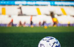 Pro Vercelli: rafforzata la struttura organizzativa con Hellemons e Grizzuti