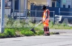 Vercelli, con il vento usato glifosato? Il caso diventa politico