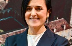 Polizia di Vercelli: i dati di un anno di attivit&agrave;