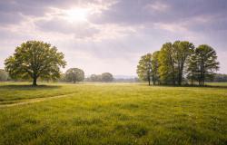 Sole e qualche pioggia tutta la settimana , temperature fresche la sera e gradevoli il giorno