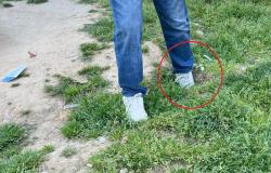 "Il Parco giochi di fronte alla scuola Gozzano &egrave; in condizioni pessime"