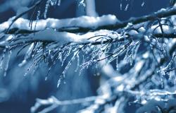 Piemonte: l'inverno 25-26 &egrave; stato il settimo pi&ugrave; caldo degli ultimi 70 anni