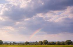 Siamo in primavera, ma ancora qualche capriccio