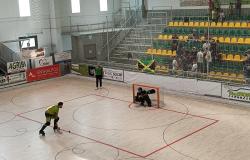 Amatori Vercelli - Agrate:  6-5 