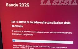Buono Vesta: segnalati problemi per l'accesso alla piattaforma