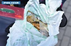 Anziano biellese raggirato con la truffa del "finto carabiniere"