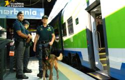 Trovato sul treno con un chilo di sostanze stupefacenti