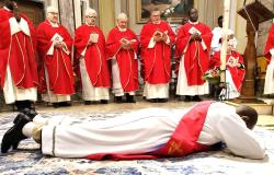 Solenne ordinazione sacerdotale di don Jean Fran&ccedil;ois Nordjoe