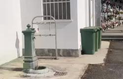 "Nuvola di vespe nella fontanella al cimitero di Billiemme"