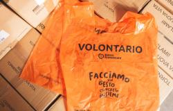 Le foto della Giornata della Colletta alimentare