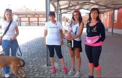 Camminata "a 6 zampe" a Prarolo