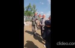Viale Garibaldi: "La manutenzione dovrà essere manuale"