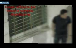 Operazione antidroga a Vercelli: il video