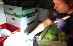 Sequestrato cibo cinese in cattivo stato di conservazione