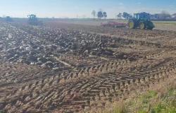 Le prove in Campo (VIDEO)