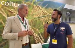 Intervista al Presidente di Confagricoltura Vercelli Biella, Benedetto Coppo
