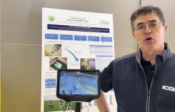 Controlli Agroalimentari nel Settore del Riso: La Sinergia per la Qualità