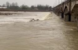 Il fiume Sesia domenica 3 marzo (video)