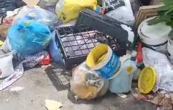 Via Cena (Isola): "I bidoni sono vuoti e i rifiuti vengono lasciati fuori"