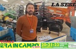 Fiera in Campo, Alberto Vergano