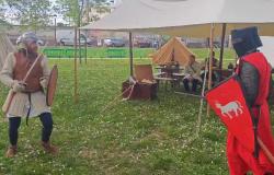 Confraternita del Leone di Brescia
