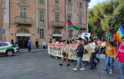 Vercelli per la Palestina
