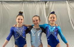 Libertas ginnastica Vercelli: buona prova delle Allieve Gold