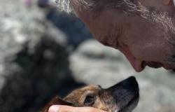Legge tutela animali, Riva Vercellotti:"Norme in linea con le nuove sensibilità"