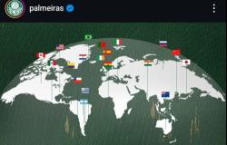 Il Palmeiras cita Vercelli tra le capitali mondiali 