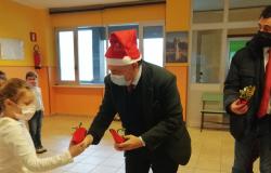 Vercelli: agrifogli per i bambini delle elementari