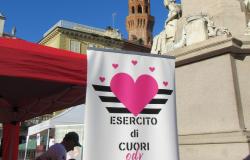 Esercito di Cuori Odv sta selezionando i candidati per "Esercito Express - La via del Riso"