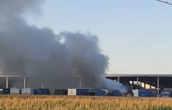 Incendio alla ditta Vescovo Romano: fumo nero visibile da chilometri
