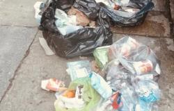 Vercelli, abbandono di rifiuti: identificate  e multate 4 persone